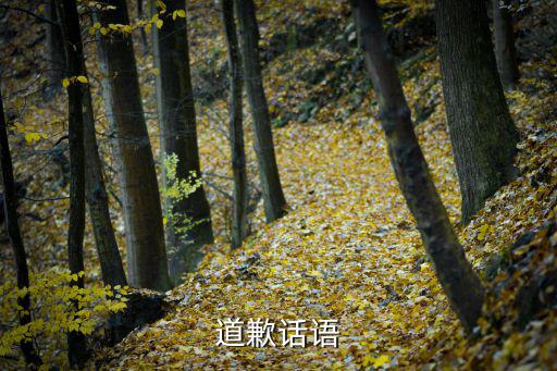 道歉話語