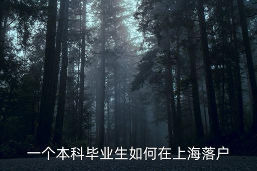 一個本科畢業生如何在上海落戶