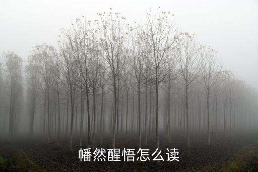 幡然醒悟怎么讀