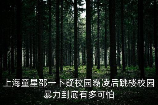 上海市最近一次校園暴力，童星邵一卜疑遭校園欺凌跳樓教育局對此事作何回應