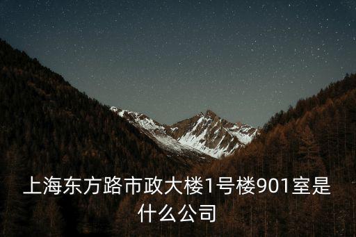 上海東方路市政大樓1號樓901室是什么公司