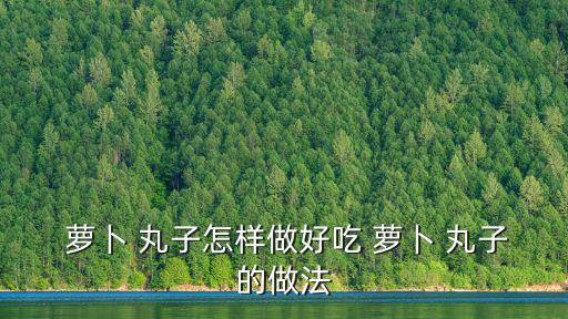  蘿卜 丸子怎樣做好吃 蘿卜 丸子的做法