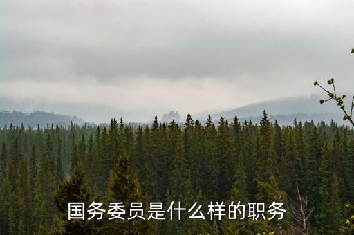 國(guó)務(wù)委員是什么樣的職務(wù)