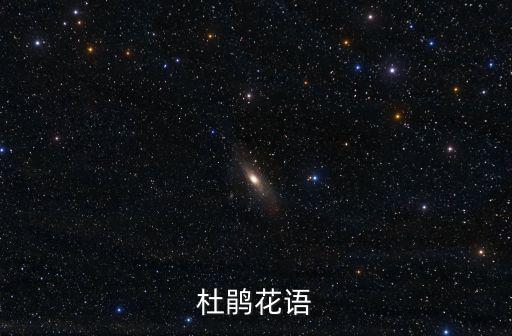 杜鵑花語