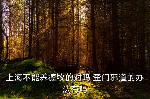 上海不能養(yǎng)德牧的對嗎 歪門邪道的辦法有嗎