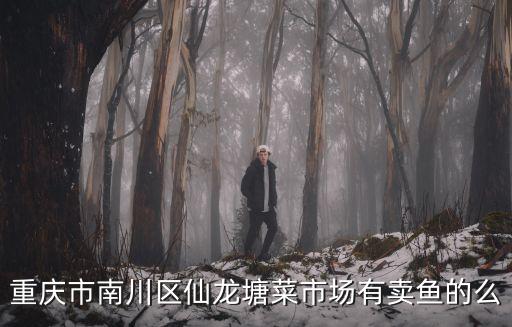 重慶市南川區馮少茂，重慶市南川區哪里有好的吉他老師