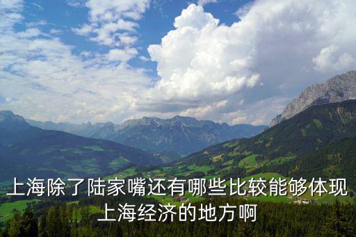 上海除了陸家嘴還有哪些比較能夠體現上海經濟的地方啊