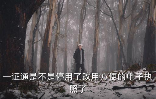 一證通是不是停用了改用方便的電子執照了