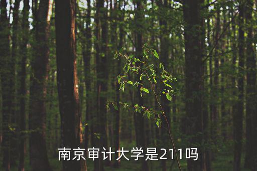 南京審計大學是211嗎