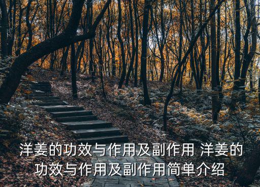洋姜的功效,洋姜有助預(yù)防冠病