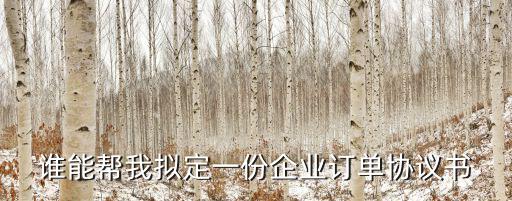 誰(shuí)能幫我擬定一份企業(yè)訂單協(xié)議書(shū)