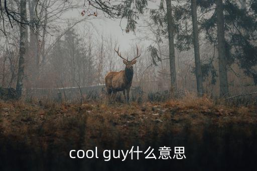 酷guy，cool guy什么意思