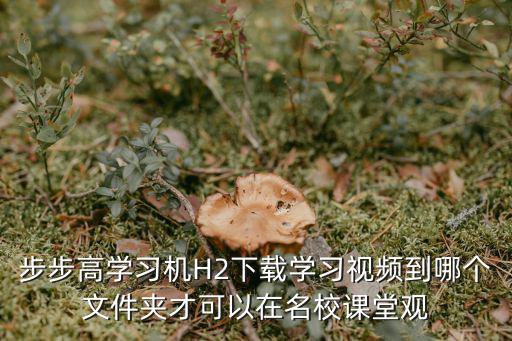 學習視頻，在學習視頻中系統出現提示窗口已滿請點擊下一個再試這是怎