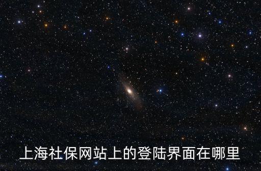上海社保網站上的登陸界面在哪里