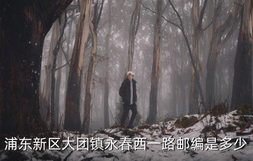 上海市大團鎮郵編是多少，上海蒲東新區大團鎮郵編是多少
