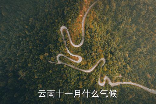 云南十一月什么氣候