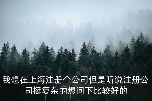 我想在上海注冊個公司但是聽說注冊公司挺復雜的想問下比較好的