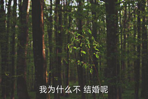 我為什么不 結婚呢