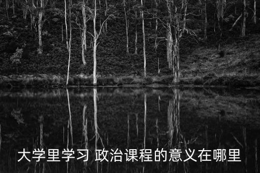 政治課,國內政治課更注重理論考核方向以理論為主