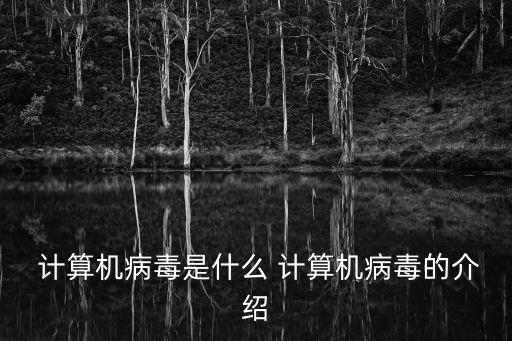  計算機病毒是什么 計算機病毒的介紹