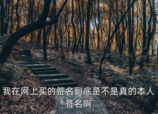 一窗通網上簽名好用嗎，我在網上買的簽名到底是不是真的本人簽名啊