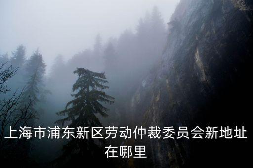 上海市浦東新區勞動仲裁委員會新地址在哪里