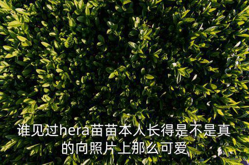 誰見過hera苗苗本人長得是不是真的向照片上那么可愛