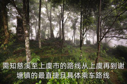 需知慈溪至上虞市的路線從上虞再到謝塘鎮的最直捷且具體乘車路線