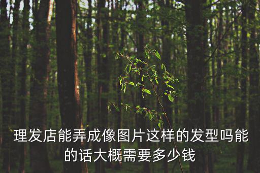  理發店能弄成像圖片這樣的發型嗎能的話大概需要多少錢