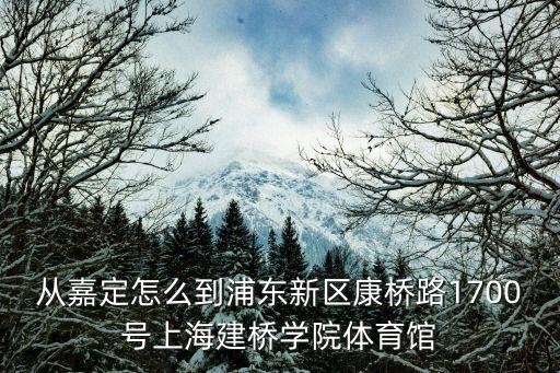 從嘉定怎么到浦東新區(qū)康橋路1700號上海建橋?qū)W院體育館