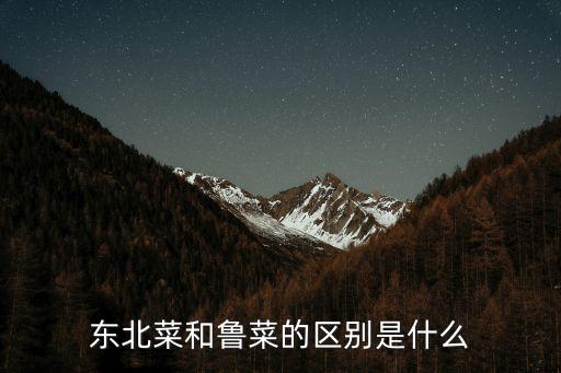 東北菜和魯菜的區(qū)別是什么
