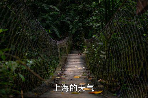 上海精準天氣10天預報下載，上海天氣預報
