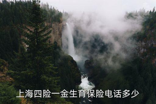 上海四險一金生育保險電話多少