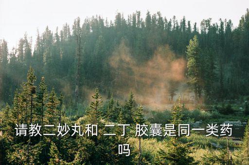 請教二妙丸和 二丁 膠囊是同一類藥嗎