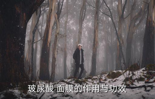 玻尿酸 面膜的作用與功效