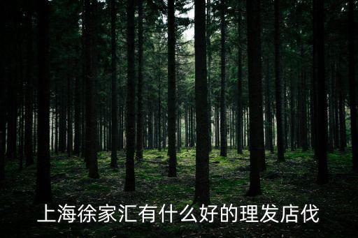 上海徐家匯有什么好的理發店伐