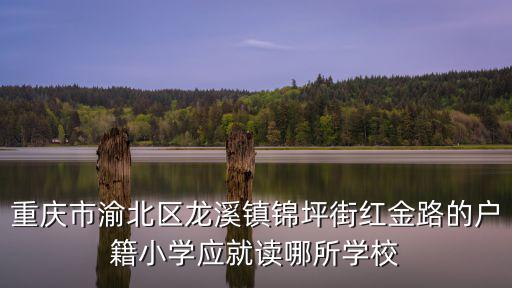 重慶市渝北區(qū)龍溪鎮(zhèn)錦坪街紅金路的戶(hù)籍小學(xué)應(yīng)就讀哪所學(xué)校