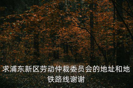 求浦東新區勞動仲裁委員會的地址和地鐵路線謝謝