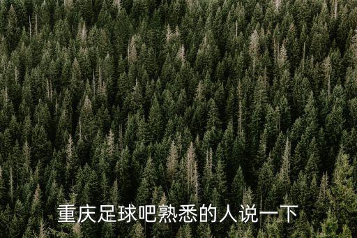 重慶市足球聯賽甲組暴力，重慶足球吧熟悉的人說一下