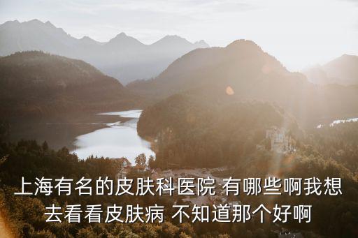 上海有名的皮膚科醫院 有哪些啊我想去看看皮膚病 不知道那個好啊