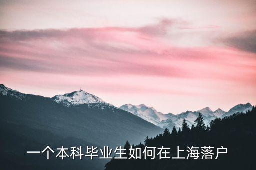 一個本科畢業生如何在上海落戶