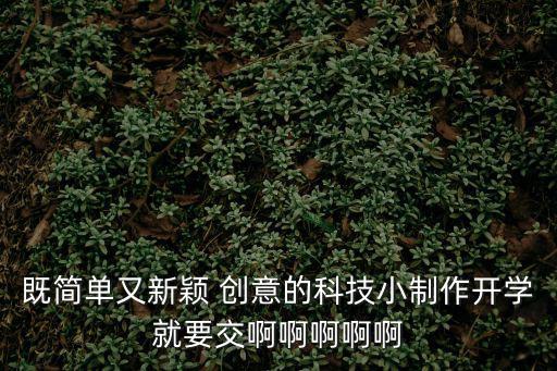既簡單又新穎 創意的科技小制作開學就要交啊啊啊啊啊