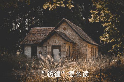 “ 彷徨”怎么讀