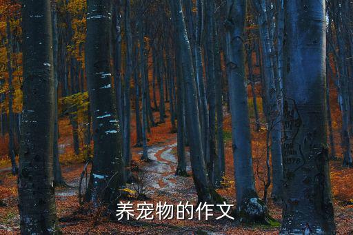 養(yǎng)寵物的作文
