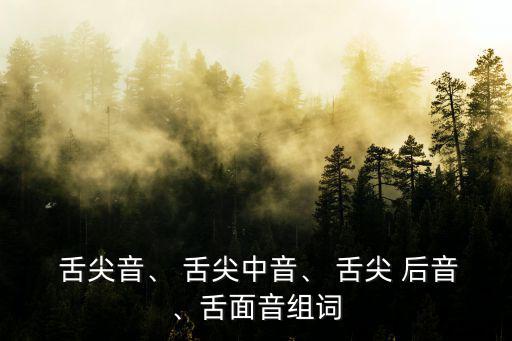  舌尖音、 舌尖中音、 舌尖 后音、舌面音組詞