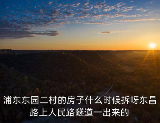 浦東東園二村的房子什么時候拆呀東昌路上人民路隧道一出來的