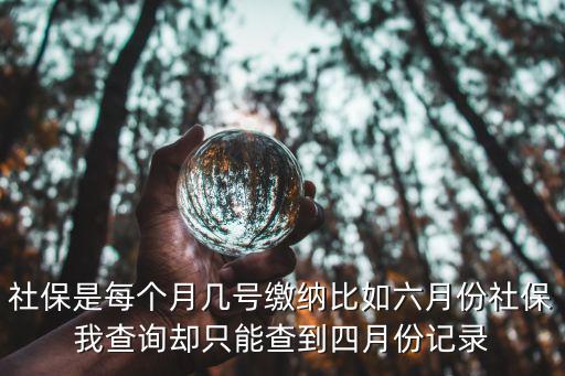 社保是每個月幾號繳納比如六月份社保我查詢卻只能查到四月份記錄