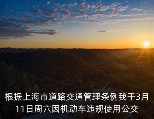 上海市無違章無事故交通宣傳日，根據上海市道路交通管理條例我于3月11日周六因機動車違規使用公交