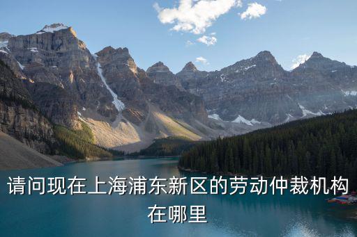請問現在上海浦東新區的勞動仲裁機構在哪里