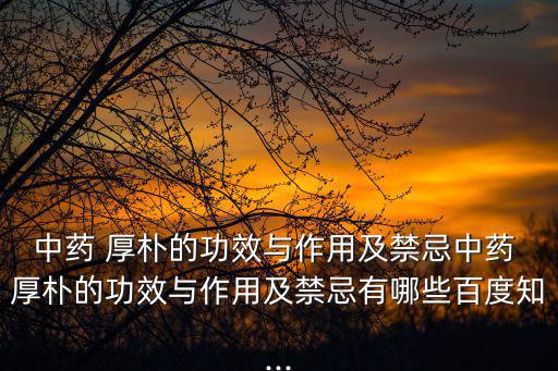 中藥 厚樸的功效與作用及禁忌中藥 厚樸的功效與作用及禁忌有哪些百度知...